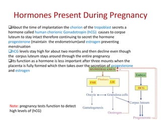 About the time of implantation the chorion of the tropoblast secrets a
hormone called human chorionic Gonadotropin (hCG) causes to corpse
luteum to stay intact therefore continuing to secret the hormone
progesterone (maintain the endometrium)and estrogen preventing
menstruation
hCG levels stay high for about two months and then decline even though
the corpus luteum stays around through the entire pregnancy
Its function as a hormone is less important after three mounts when the
placenta is fully formed which then takes over the secretion of progesterone
and estrogen
Note: pregnancy tests function to detect
high levels of (hCG)
 