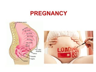 PREGNANCY
 