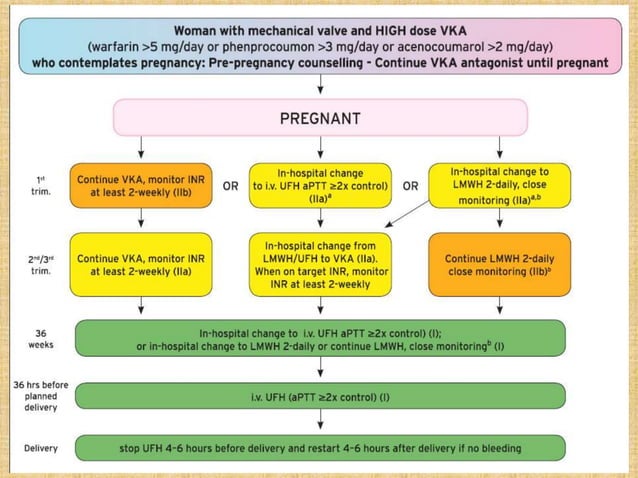 Management of Cardiovascular Disease during Pregnancy | PPTX