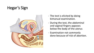 PREGNANCY.pptx