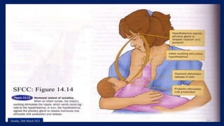 Pregnancy by Dr. Maryam Yasmin.pptx
