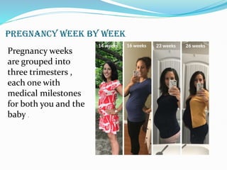 PREGNANCY WEEK BY WEEK
Pregnancy weeks
are grouped into
three trimesters ,
each one with
medical milestones
for both you and the
baby .
 