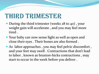 THIRD TRIMESTER
 During the third trimester (weeks 28 to 40) , your
weight gain will accelerate , and you may feel more
tired .
 Your baby can now sense light as well as open and
close their eyes . Their bones are also formed .
 As labor approaches , you may feel pelvic discomfort ,
and your feet may swell . Contractions that don’t lead
to labor , known as braxton-hicks contractions , may
start to occur in the week before you deliver .
 