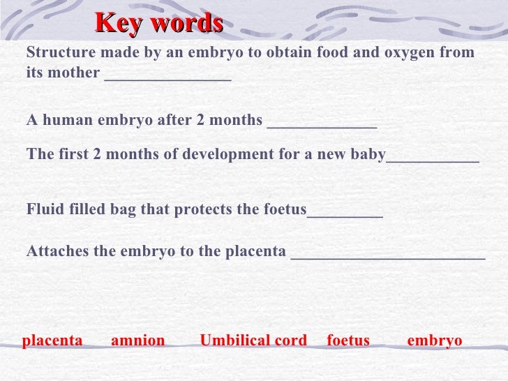 Pregnancy