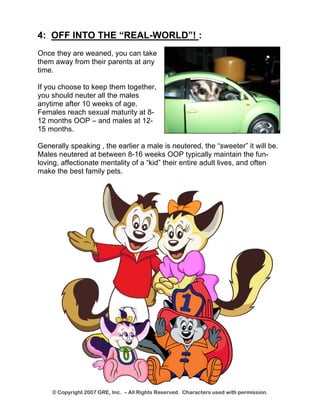 4: OFF INTO THE “REAL-WORLD”! : 
Once they are weaned, you can take them away from their parents at any time. 
If you choose to keep them together, you should neuter all the males anytime after 10 weeks of age. Females reach sexual maturity at 8- 12 months OOP – and males at 12- 15 months. 
Generally speaking , the earlier a male is neutered, the “sweeter” it will be. Males neutered at between 8-16 weeks OOP typically maintain the fun- loving, affectionate mentality of a “kid” their entire adult lives, and often make the best family pets. 
© Copyright 2007 GRE, Inc. – All Rights Reserved. Characters used with permission. 
