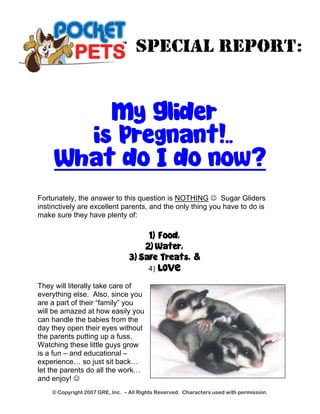 SPECIAL REPORT: 
My Glider 
is Pregnant!.. 
What do I do now? 
Fortunately, the answer to this question is NOTHING ☺ Sugar Gliders instinctively are excellent parents, and the only thing you have to do is make sure they have plenty of: 
1) Food, 
2) Water, 
3) Safe Treats, & 
4) LOVE 
They will literally take care of everything else. Also, since you are a part of their “family” you will be amazed at how easily you can handle the babies from the day they open their eyes without the parents putting up a fuss. Watching these little guys grow is a fun – and educational – experience… so just sit back… let the parents do all the work… and enjoy! ☺ 
© Copyright 2007 GRE, Inc. – All Rights Reserved. Characters used with permission. 
 