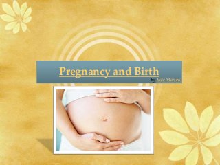 Pregnancy and Birth
By Julie Martino
 