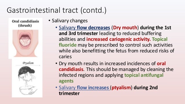 Pregnancy And Dentistry