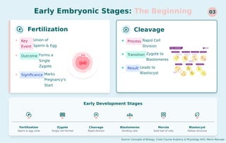 pregnancy and embryo development and birth.pdf
