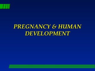 PREGNANCY & HUMAN
   DEVELOPMENT
 
