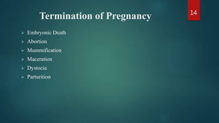 Termination of Pregnancy
 Embryonic Death
 Abortion
 Mummification
 Maceration
 Dystocia
 Parturition
14
 
