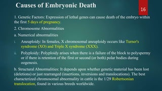 Causes of Embryonic Death
1. Genetic Factors: Expression of lethal genes can cause death of the embryo within
the first 5 days of pregnancy.
2. Chromosome Abnormalities
a. Numerical abnormalities
i. Aneuploidy: In females, X chromosomal aneuploidy occurs like Turner's
syndrome (XO) and Triple X syndrome (XXX).
ii. Polyploidy: Polyploidy arises when there is a failure of the block to polyspermy
or if there is retention of the first or second (or both) polar bodies during
oogenesis.
b. Structural Abnormalities: It depends upon whether genetic material has been lost
(deletions) or just rearranged (insertions, inversions and translocations). The best
characterized chromosomal abnormality in cattle is the 1/29 Robertsonian
translocation, found in various breeds worldwide.
16
 