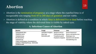 Abortion
 Abortion is the termination of pregnancy at a stage where the expelled fetus is of
recognizable size ranging from 45 to 260 days of gestation and not viable.
 Abortion is defined as a condition in which fetus is delivered live or dead before reaching
the stage of viability where the delivered fetus is visible by naked eyes.
19
A. Infectious Causes of Abortion
 