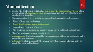Mummification
 Sequlae of a dead fetus is putrification due to autolytic changes in body tissue which
involve release of digestive enzymes from digestive tract and liver of the fetus and
putrefaction by microbes.
 There are number of pre- requisite for mummification process which includes:
a. Death of fetus post ossification.
b. Rapid dehydration of uterine environment.
c. Anaerobic environment of uterus.
d. Sterile uterine environment by means of closed cervix and intact endometrium.
 Classified as papyraceous and hematic type.
 In papyraceous, fetal skin appears like parchment paper without any exudate, which is
reported in non-ruminants
 In hematic, fetal skin surrounded by viscous chocolate coloured adhesive material,
reported in cattle and buffaloes.
23
 