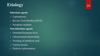 Etiology
Infectious agents
 Leptospirosis
 Bovine Viral Diarrhea (BVD)
 Neospora caninum
Non-infectious agents
 Disturbed hormone level
 Chromosomal abnormality
 Twisting of umbilical cord
 Uterine torsion
 Defective placentation.
24
 