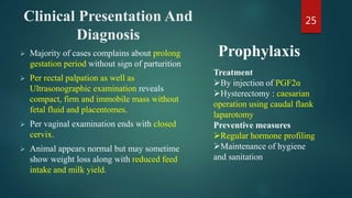 Clinical Presentation And
Diagnosis
 Majority of cases complains about prolong
gestation period without sign of parturition
 Per rectal palpation as well as
Ultrasonographic examination reveals
compact, firm and immobile mass without
fetal fluid and placentomes.
 Per vaginal examination ends with closed
cervix.
 Animal appears normal but may sometime
show weight loss along with reduced feed
intake and milk yield.
25
Treatment
By injection of PGF2α
Hysterectomy : caesarian
operation using caudal flank
laparotomy
Preventive measures
Regular hormone profiling
Maintenance of hygiene
and sanitation
Prophylaxis
 