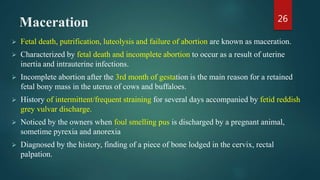 Maceration
 Fetal death, putrification, luteolysis and failure of abortion are known as maceration.
 Characterized by fetal death and incomplete abortion to occur as a result of uterine
inertia and intrauterine infections.
 Incomplete abortion after the 3rd month of gestation is the main reason for a retained
fetal bony mass in the uterus of cows and buffaloes.
 History of intermittent/frequent straining for several days accompanied by fetid reddish
grey vulvar discharge.
 Noticed by the owners when foul smelling pus is discharged by a pregnant animal,
sometime pyrexia and anorexia
 Diagnosed by the history, finding of a piece of bone lodged in the cervix, rectal
palpation.
26
 