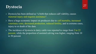 Dystocia
 Dystocia has been defined as “a birth that reduces calf viability, causes
maternal injury and requires assistance”.
 Have a huge economic impact on producers due to calf mortality, increased
veterinary costs, decreased production, reduced fertility, and in extreme cases,
injury to or death of the dam.
 The incidence of dystocia in dairy cattle was reported to range from 2 to 22
percent, while the proportion of assisted calving was higher, ranging from 10
to 50 percent
27
 