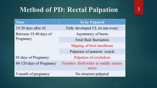 Method of PD: Rectal Palpation 3
 