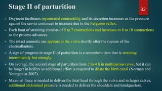 Stage II of parturition
 Oxytocin facilitates myometrial contractility and its secretion increases as the pressure
against the cervix continues to increase due to the Ferguson reflex.
 Each bout of straining consists of 5 to 7 contractions and increases to 8 to 10 contractions
as the process advances.
 The intact amniotic sac appears at the vulva shortly after the rupture of the
chorioallantois.
 A sign of progress in stage II of parturition is a recumbent dam that is straining
intermittently but strongly.
 On average, the second stage of parturition lasts 2 to 4 h in multiparous cows, but it can
be longer in heifers as additional effort is required to dilate the birth canal (Norman and
Youngquist 2007).
 Maximal force is needed to deliver the fetal head through the vulva and in larger calves,
additional abdominal pressure is needed to deliver the shoulders and hindquarters.
32
 