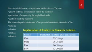 Hatching of the blastocyst is governed by three forces. They are:
• growth and fluid accumulation within the blastocyst
• production of enzymes by the trophoblastic cells
• contraction of the blastocyst
The extraembryonic membranes of the pre-attachment embryo consist of the:
• yolk sac
• chorion
• amnion
• allantois
6
Implantation of Embryo in Domestic Animals
 