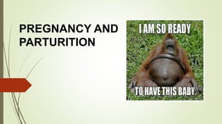 PREGNANCY AND
PARTURITION
 