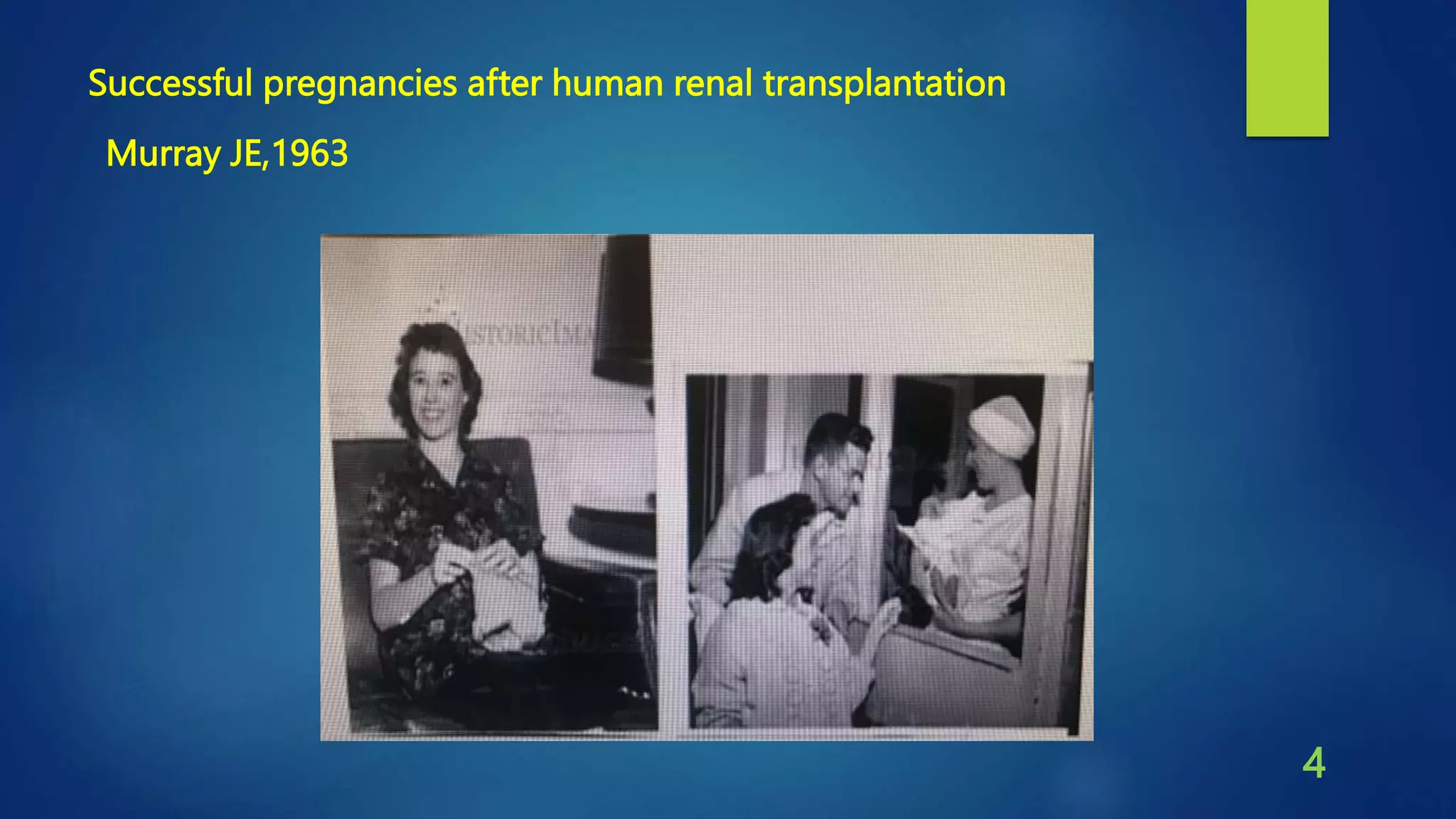 Honey feeding protects kidney against cisplatin nephrotoxicity through ...