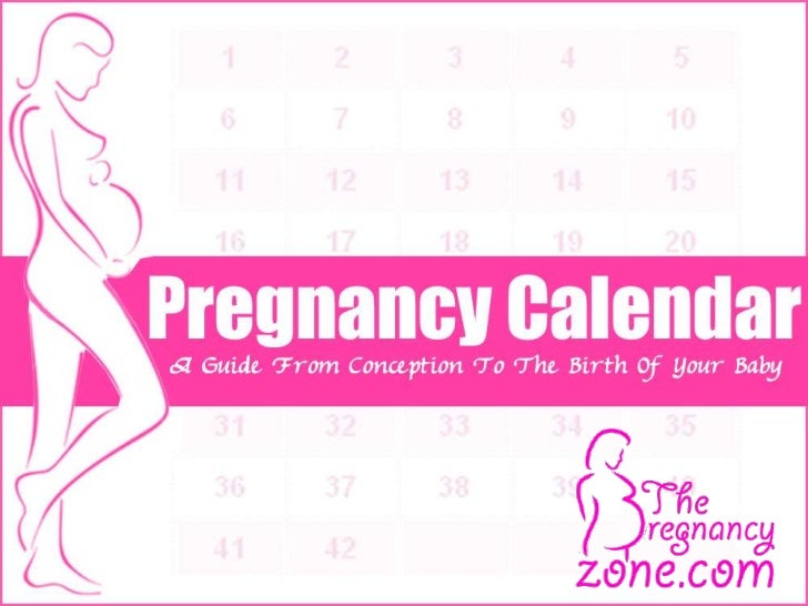 pregnancy calendar a guide from conception to the birth of your baby preganant calendar