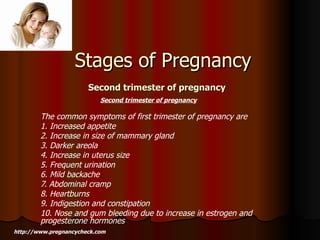 Stages of Pregnancy  Second trimester of pregnancy   Second trimester of pregnancy   The common symptoms of first trimester of pregnancy are 1. Increased appetite 2. Increase in size of mammary gland 3. Darker areola 4. Increase in uterus size 5. Frequent urination 6. Mild backache 7. Abdominal cramp 8. Heartburns 9. Indigestion and constipation 10. Nose and gum bleeding due to increase in estrogen and progesterone hormones http://www.pregnancycheck.com 