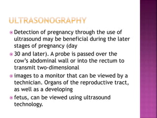  Detection of pregnancy through the use of
ultrasound may be beneficial during the later
stages of pregnancy (day
 30 and later). A probe is passed over the
cow’s abdominal wall or into the rectum to
transmit two-dimensional
 images to a monitor that can be viewed by a
technician. Organs of the reproductive tract,
as well as a developing
 fetus, can be viewed using ultrasound
technology.
 