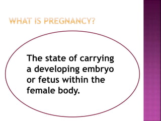 The state of carrying
a developing embryo
or fetus within the
female body.
 