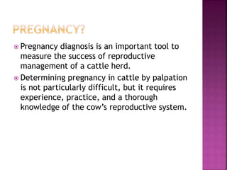  Pregnancy diagnosis is an important tool to
measure the success of reproductive
management of a cattle herd.
 Determining pregnancy in cattle by palpation
is not particularly difficult, but it requires
experience, practice, and a thorough
knowledge of the cow’s reproductive system.
 