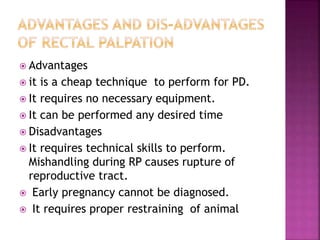  Advantages
 it is a cheap technique to perform for PD.
 It requires no necessary equipment.
 It can be performed any desired time
 Disadvantages
 It requires technical skills to perform.
Mishandling during RP causes rupture of
reproductive tract.
 Early pregnancy cannot be diagnosed.
 It requires proper restraining of animal
 