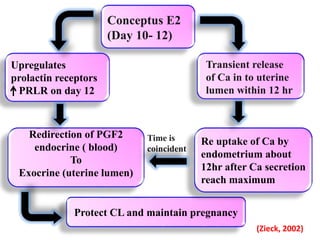 Pregnancy Diagnosis and Embryonic Viability With Special Reference to ...