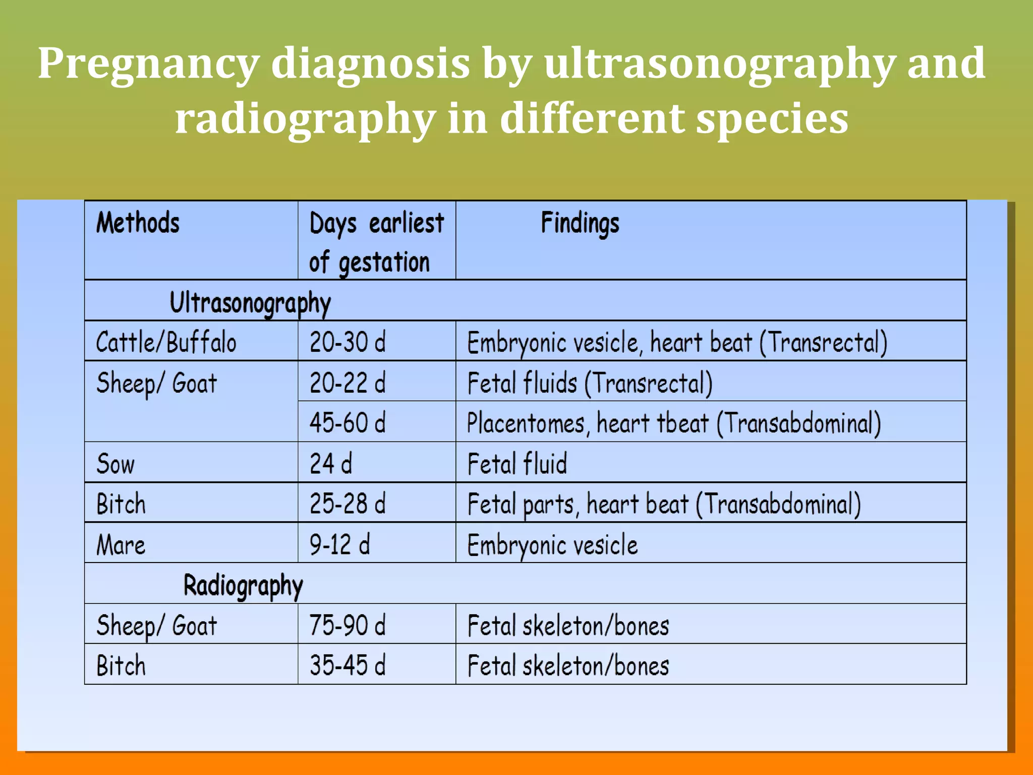 Cow Radiographs Pregnancy diagnosis in cow lecture 6 | PPT