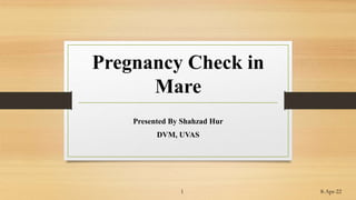 Pregnancy Check in
Mare
Presented By Shahzad Hur
DVM, UVAS
8-Apr-22
1
 