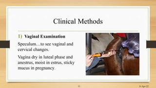 Clinical Methods
1) Vaginal Examination
Speculum…to see vaginal and
cervical changes.
Vagina dry in luteal phase and
anestrus, moist in estrus, sticky
mucus in pregnancy.
8-Apr-22
11
 