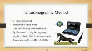 Ultrasonographic Method
• B – mode ultrasound
• Transrectal or linear probe
• Land mark Urinary bladder (Grayish)
• By Ultrasound …..day 16 pregnancy
• Ideally…..At day 30-35…accurate results
• Frequency mostly….5MHz -7.5 MHz
8-Apr-22
14
 