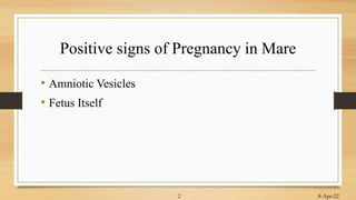 Positive signs of Pregnancy in Mare
• Amniotic Vesicles
• Fetus Itself
8-Apr-22
2
 