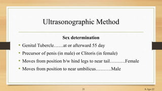 Ultrasonographic Method
Sex determination
• Genital Tubercle……at or afterward 55 day
• Precursor of penis (in male) or Clitoris (in female)
• Moves from position b/w hind legs to near tail……….Female
• Moves from position to near umbilicus……….Male
8-Apr-22
21
 