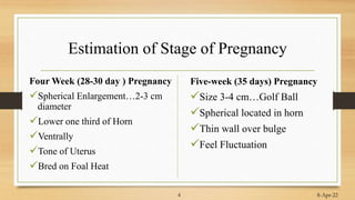 Estimation of Stage of Pregnancy
Four Week (28-30 day ) Pregnancy
Spherical Enlargement…2-3 cm
diameter
Lower one third of Horn
Ventrally
Tone of Uterus
Bred on Foal Heat
Five-week (35 days) Pregnancy
Size 3-4 cm…Golf Ball
Spherical located in horn
Thin wall over bulge
Feel Fluctuation
8-Apr-22
4
 