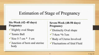 Estimation of Stage of Pregnancy
Six-Week (42–45 days)
Pregnancy
Slightly oval Shape
Tennis Ball
Size 5-7 cm * 5 cm
Junction of horn and uterine
body
Seven-Week (48-50 days)
Pregnancy
Distinctly Oval shape
7-8cm *6-7cm
Body of Uterus Involved
Fluctuations of fetal Fluid
8-Apr-22
5
 