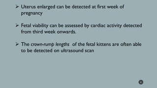 ➢ Uterus enlarged can be detected at first week of
pregnancy
➢ Fetal viability can be assessed by cardiac activity detected
from third week onwards.
➢ The crown-rump lengths of the fetal kittens are often able
to be detected on ultrasound scan
6
 