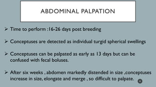 ABDOMINAL PALPATION
➢ Time to perform :16-26 days post breeding
➢ Conceptuses are detected as individual turgid spherical swellings
➢ Conceptuses can be palpated as early as 13 days but can be
confused with fecal boluses.
➢ After six weeks , abdomen markedly distended in size ,conceptuses
increase in size, elongate and merge , so difficult to palpate. 8
 
