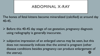 ABDOMINAL X-RAY
The bones of fetal kittens become mineralized (calcified) at around day
40-45.
➢ Before this 40-45 day stage of cat gestation, pregnancy diagnosis
using radiography is generally inaccurate.
➢ subjective impression of an enlarged uterus may be seen, but this
does not necessarily indicate that the animal is pregnant (other
disease conditions besides pregnancy can produce enlargement of
the uterus). 9
 