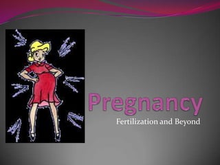 Pregnancy Fertilization and Beyond 