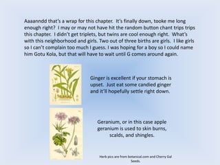 Aaaanndd that’s a wrap for this chapter. It’s finally down, tooke me long
enough right? I may or may not have hit the random button chant trips trips
this chapter. I didn’t get triplets, but twins are cool enough right. What’s
with this neighborhood and girls. Two out of three births are girls. I like girls
so I can’t complain too much I guess. I was hoping for a boy so I could name
him Gotu Kola, but that will have to wait until G comes around again.
Ginger is excellent if your stomach is
upset. Just eat some candied ginger
and it’ll hopefully settle right down.
Geranium, or in this case apple
geranium is used to skin burns,
scalds, and shingles.
Herb pics are from botanical.com and Cherry Gal
Seeds.
 