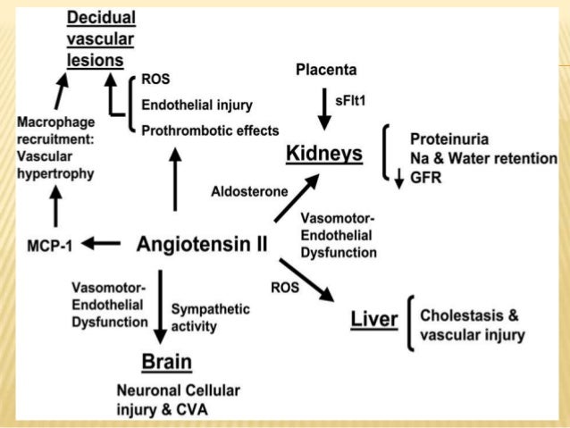 during third trimester blood test pregnancy induced hypertension Pregnancy during third trimester blood test pregnancy induced hypertension Pregnancy