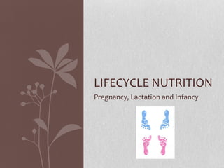 Pregnancy, Lactation and Infancy LIFECYCLE NUTRITION 