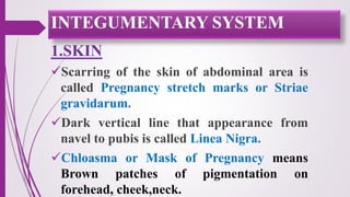 1.SKIN
Scarring of the skin of abdominal area is
called Pregnancy stretch marks or Striae
gravidarum.
Dark vertical line that appearance from
navel to pubis is called Linea Nigra.
Chloasma or Mask of Pregnancy means
Brown patches of pigmentation on
forehead, cheek,neck.
INTEGUMENTARY SYSTEM
 